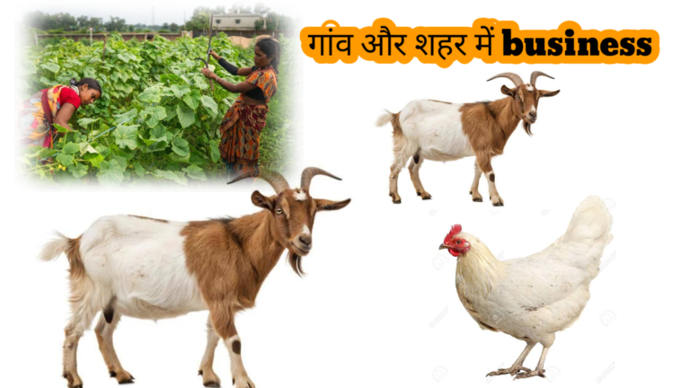 Naukri Ke Bina Paise Kaise Kamaye